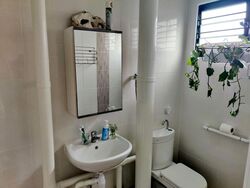 Blk 244 Tampines Street 21 (Tampines), HDB 4 Rooms #499741761